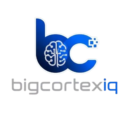 BigCortexIQ