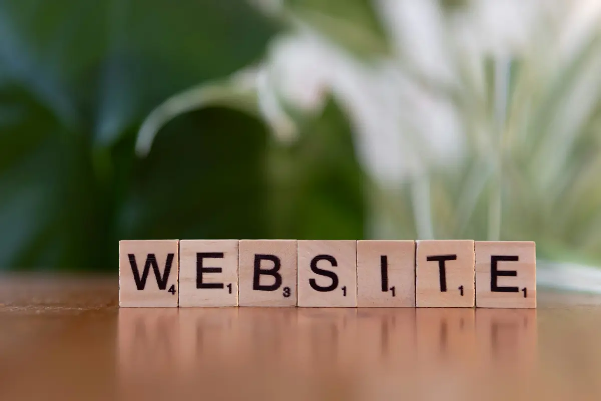Custom website design and development for businesses in Jaipur